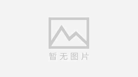 人鱼小姐 第1季